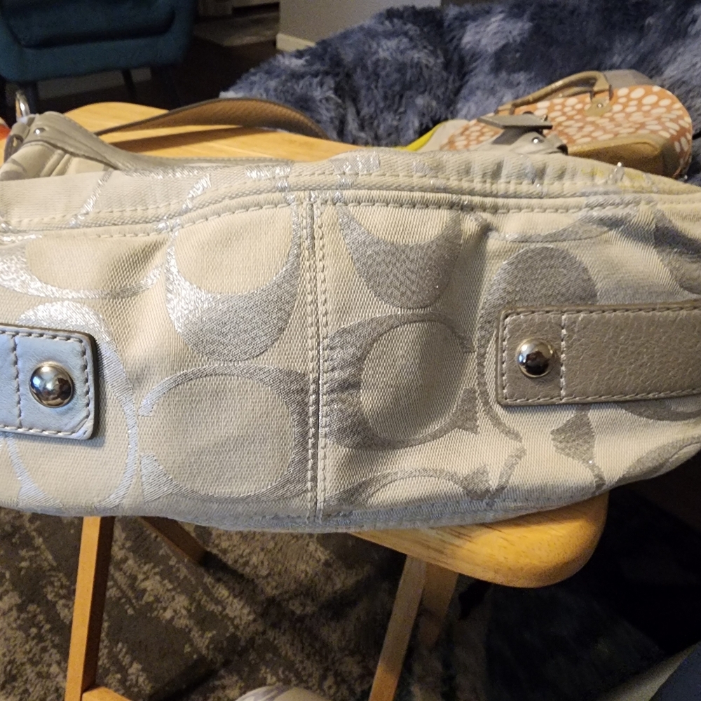 Authentic Silver Coach - image 3